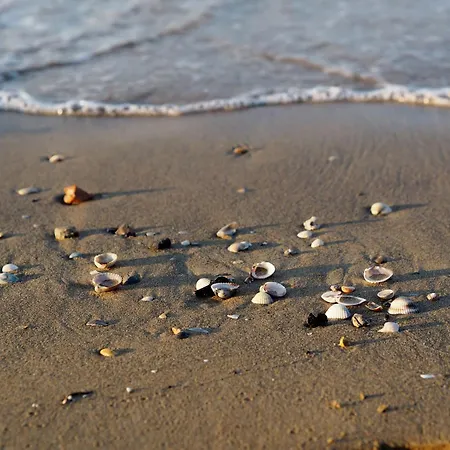 아파트 Bright And Functional Flat With Seaview Balcony